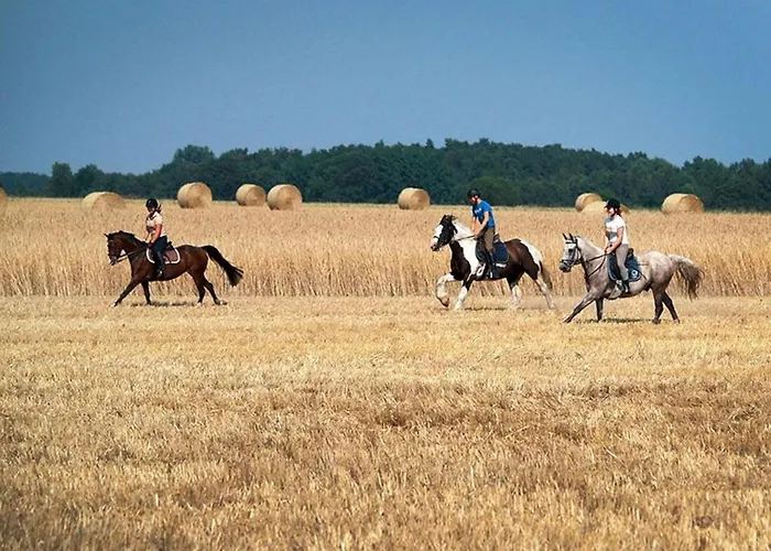 Silbermoewe By Interhome Appartement Neue Tiefe Fehmarn