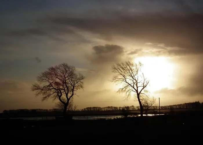 Silbermoewe By Interhome Appartement *